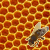 Bienenwachs